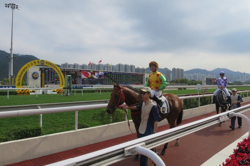 香港沙田競馬場7