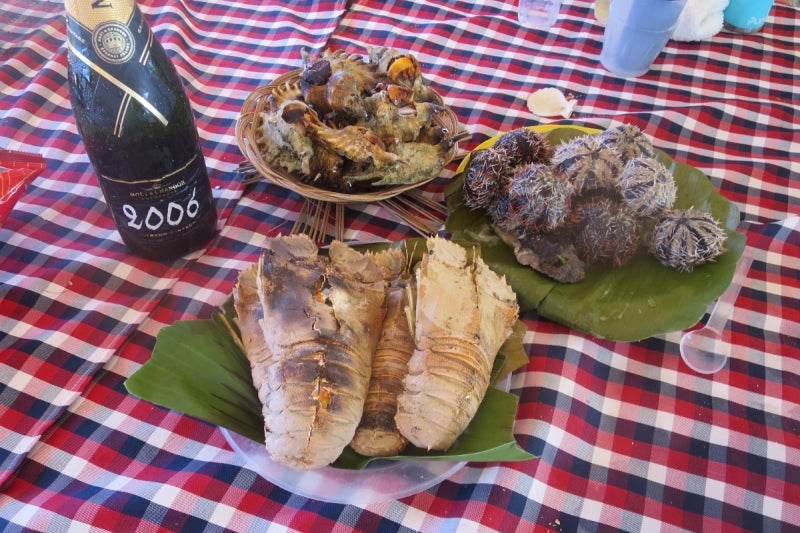 Cebu4-6