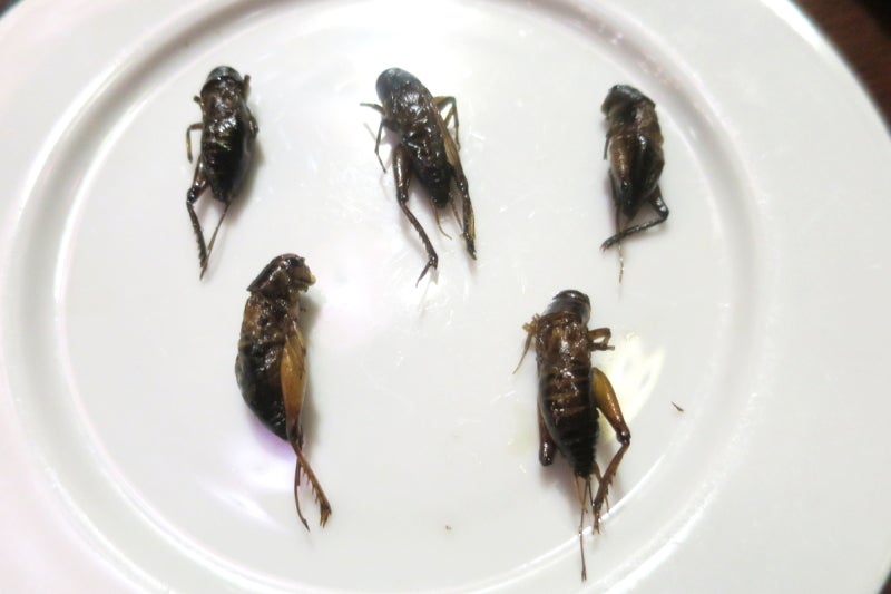 Hanoi1-4