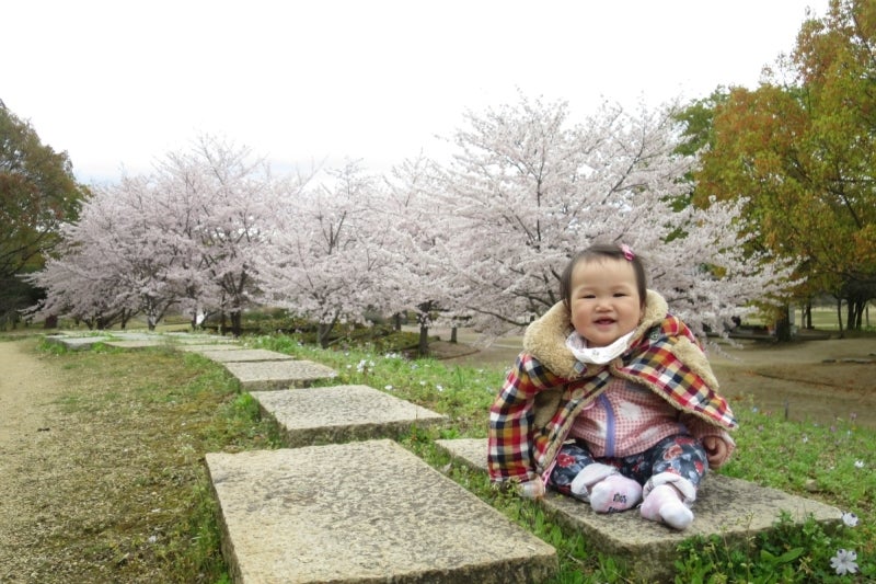 姫路5