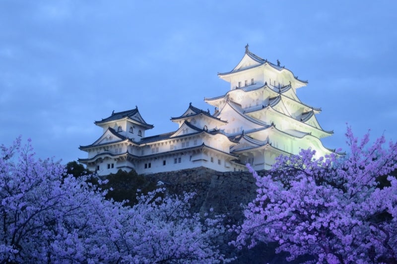 姫路8