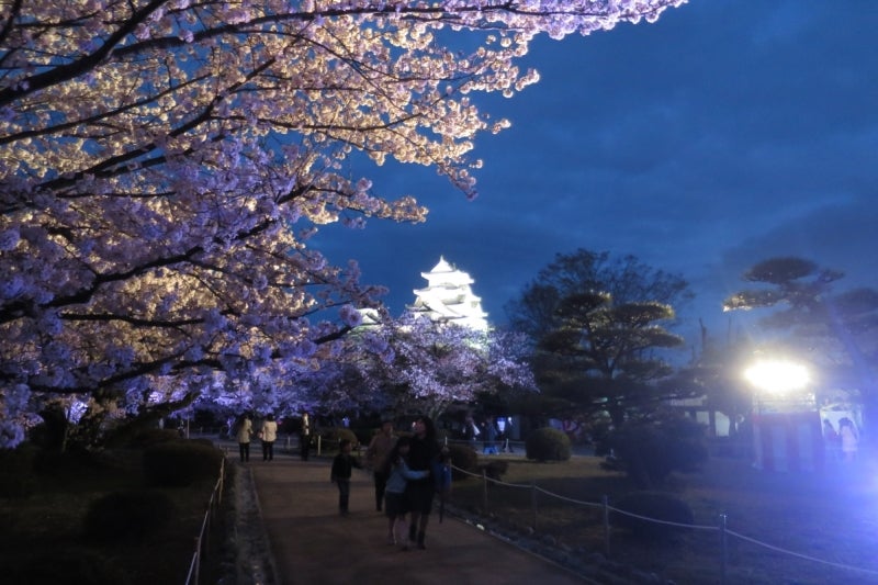 姫路10