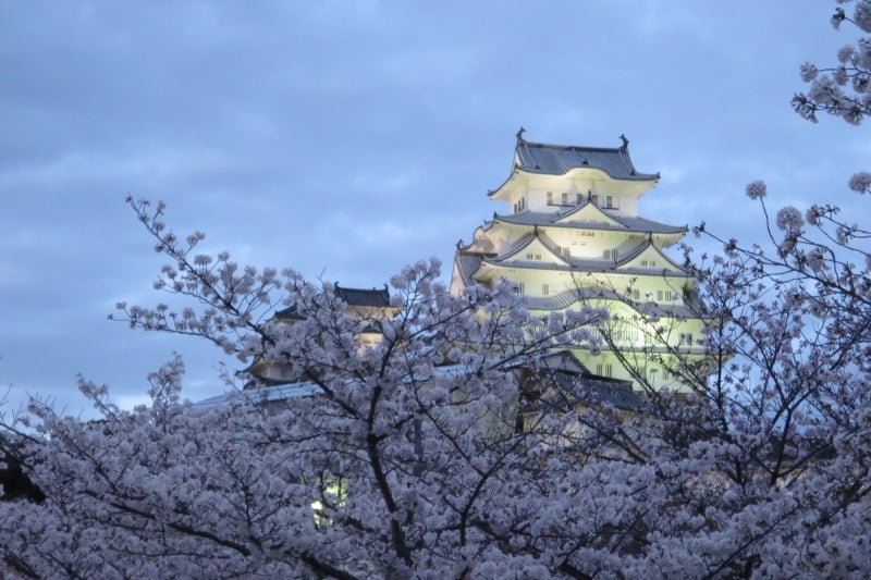 姫路7