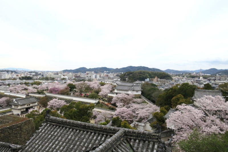 姫路2-8