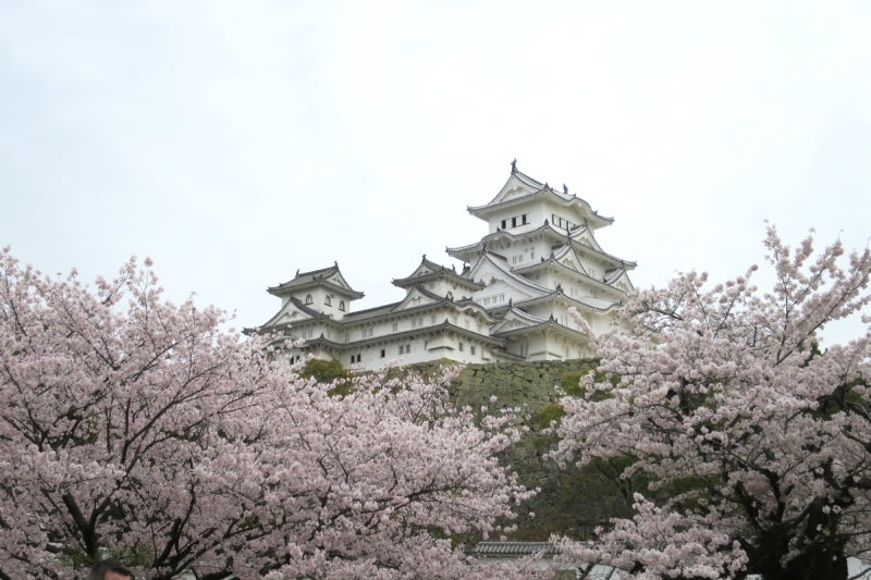 姫路2-7