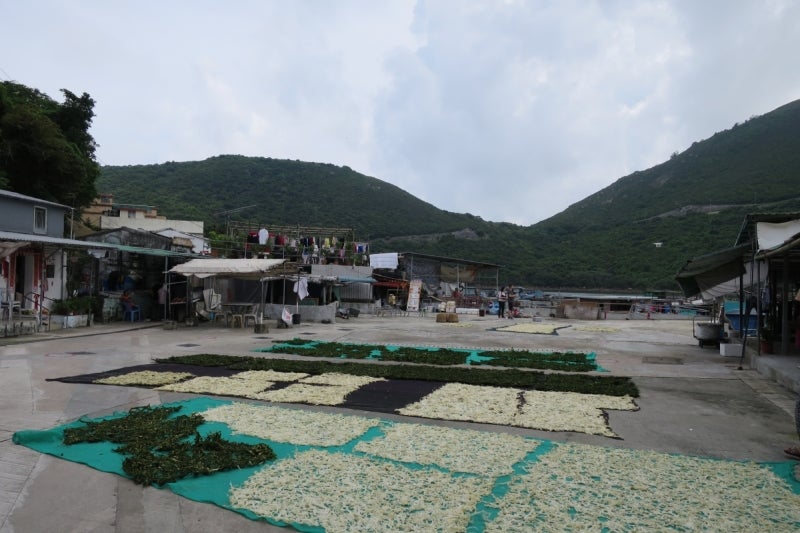 香港漁村6