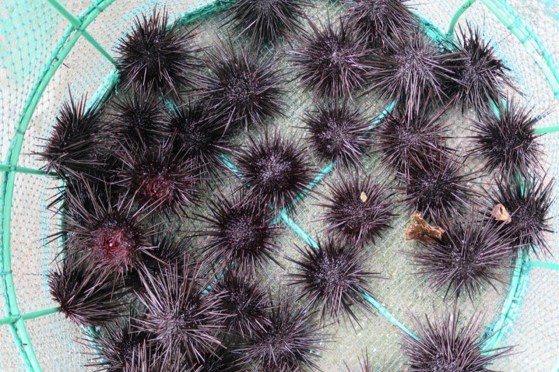 uni3