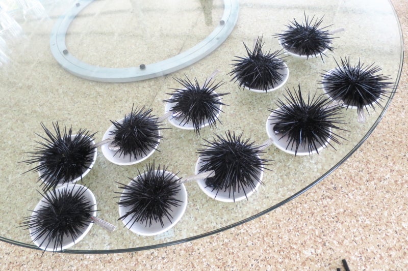 uni4