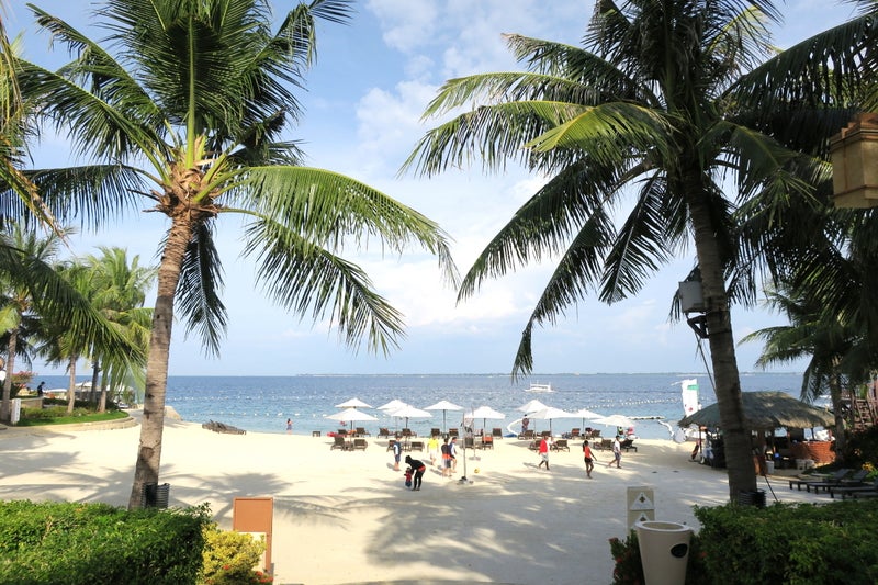 Cebu4-3