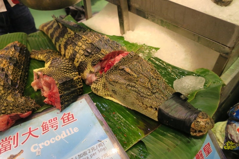 広州9