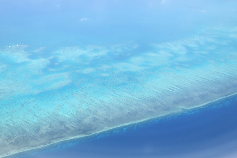 Cairns7