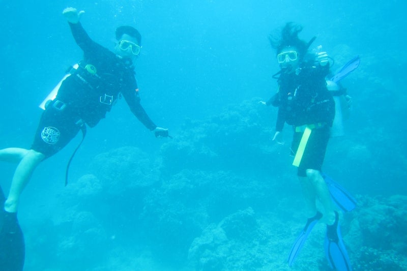 Cairns1-8