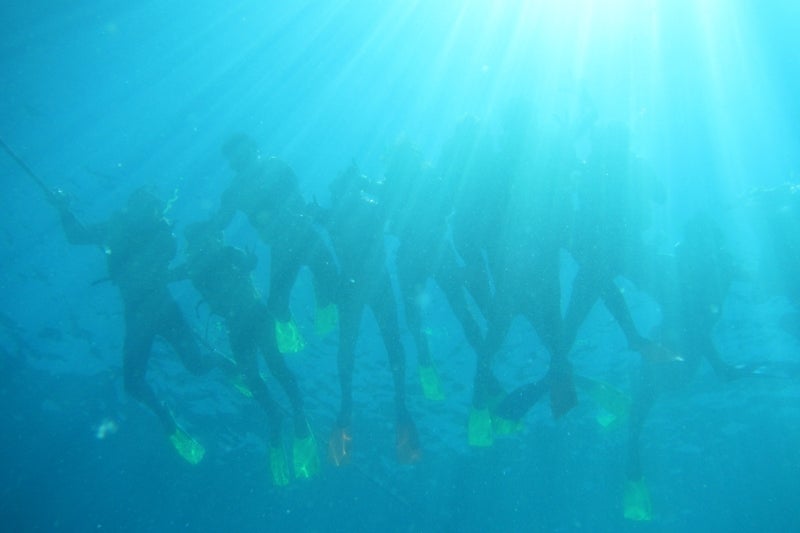 ReefWorld6