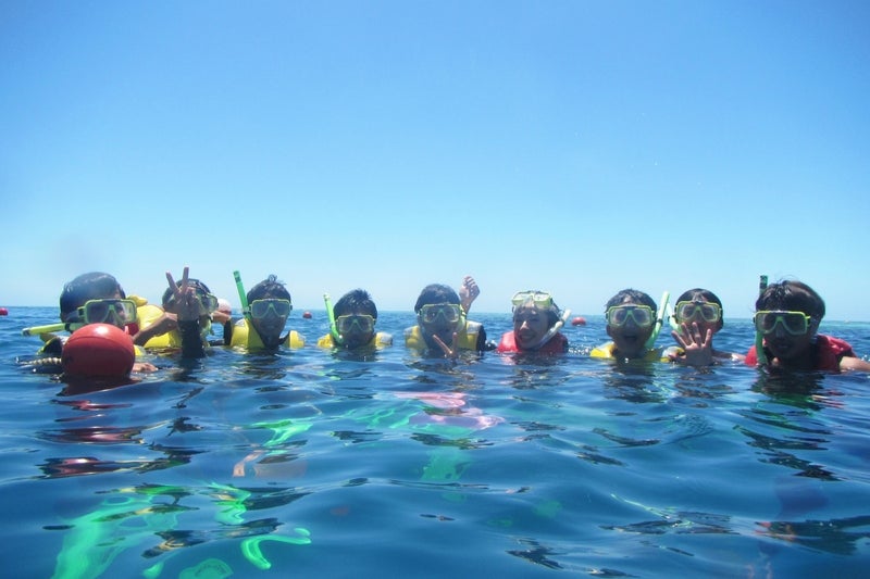 ReefWorld3