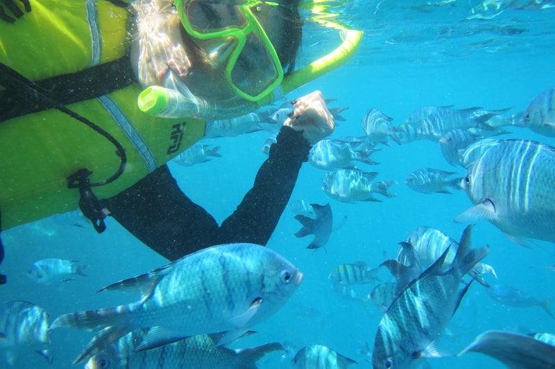 ReefWorld2