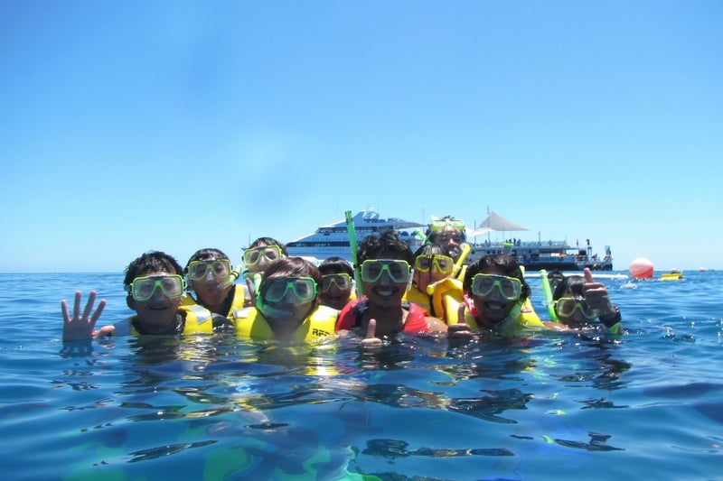 ReefWorld8