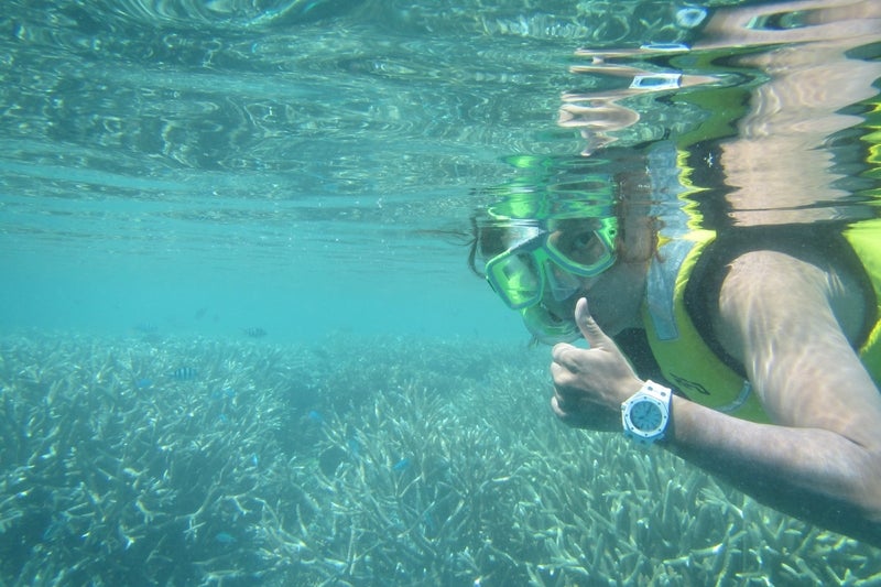ReefWorld10