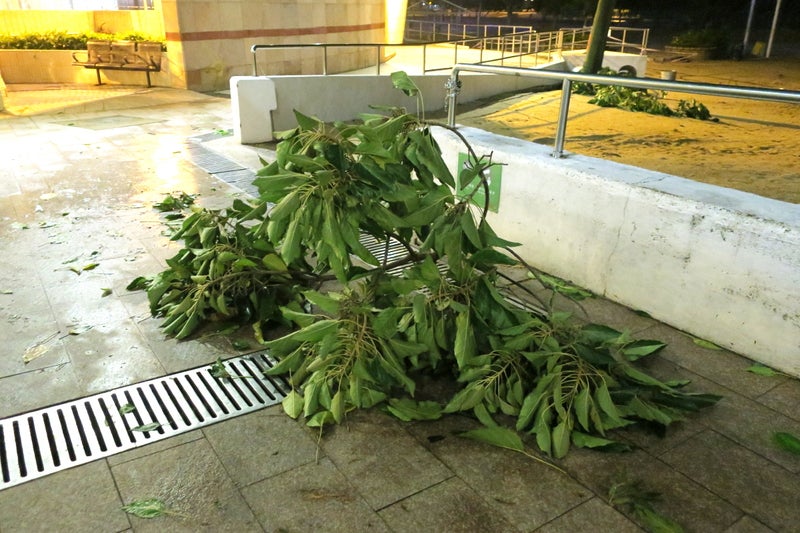 typhoon2