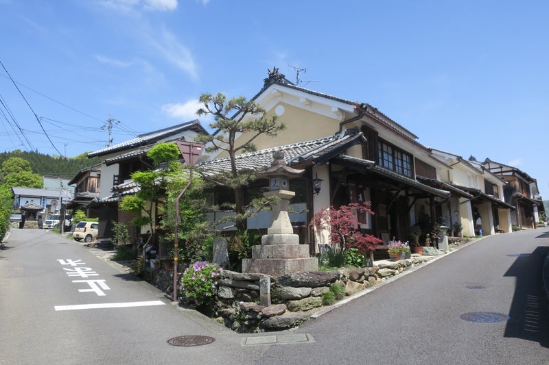 愛媛9
