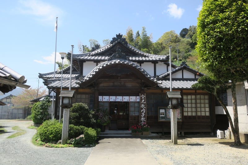 愛媛11