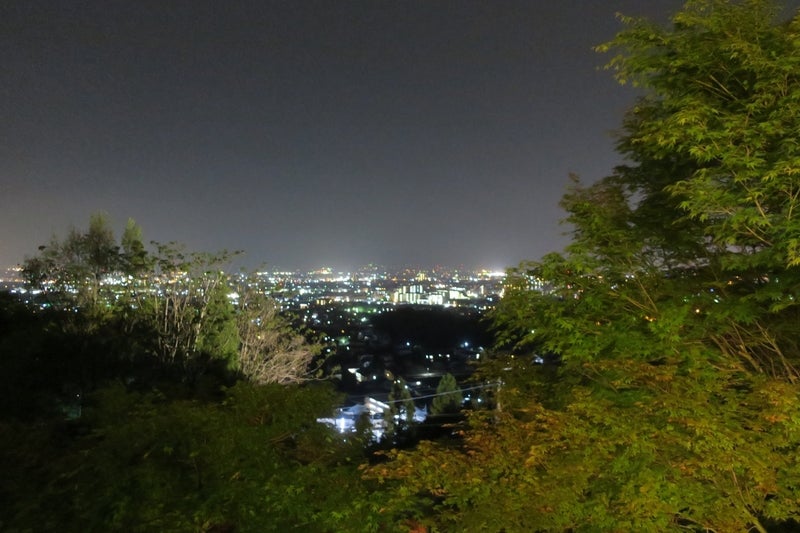 長野11