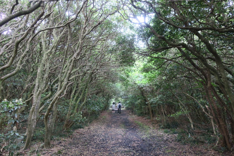 三原山3
