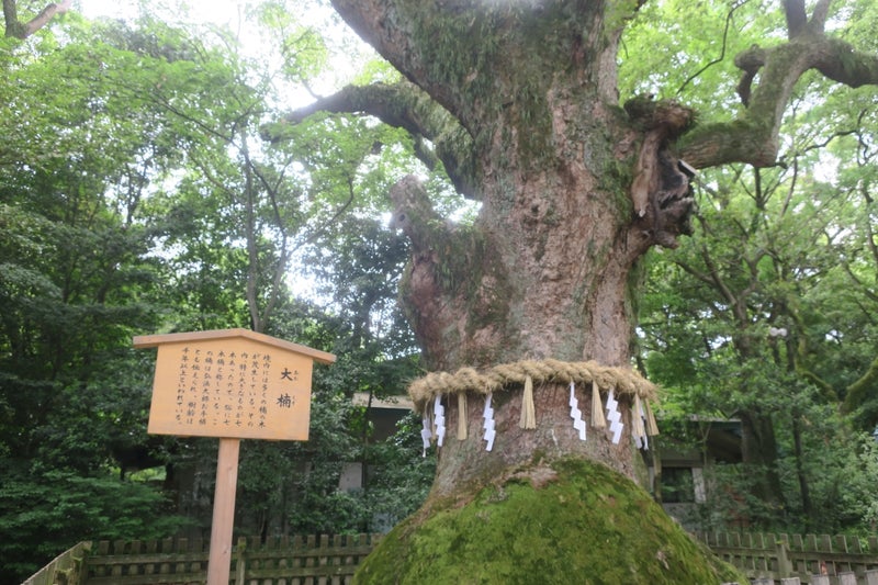 名古屋6