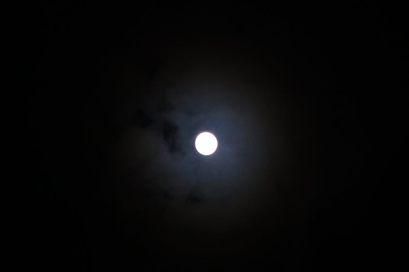 中秋節4