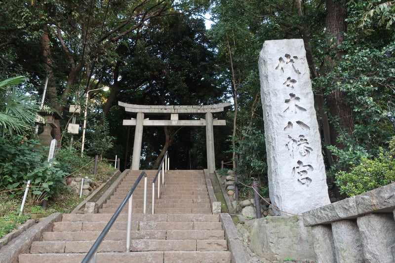 参拝6