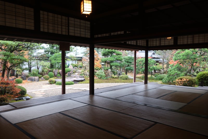 萩2-11