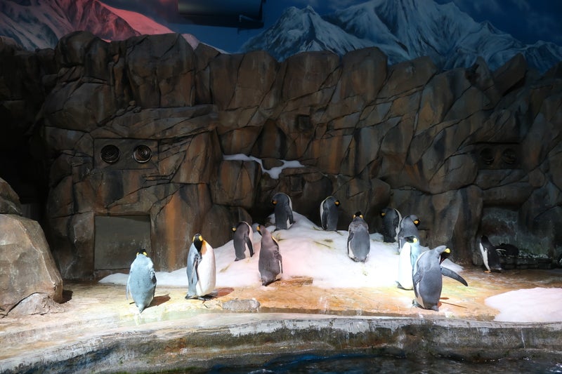 OceanPark11