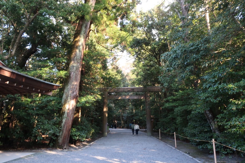 伊勢19
