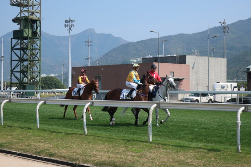 競馬1
