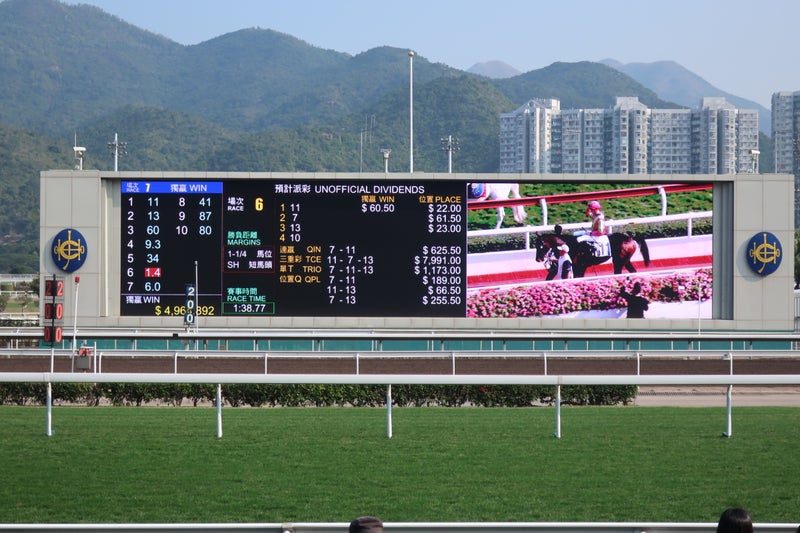 競馬8