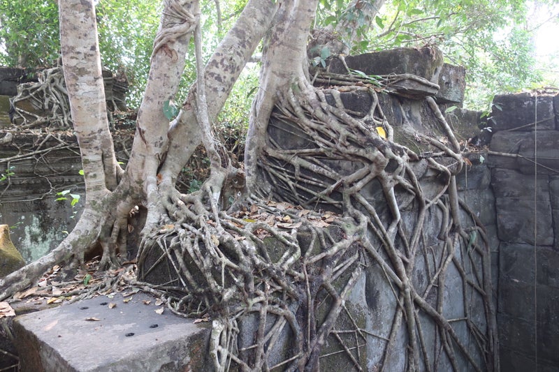 SiemReap2-17