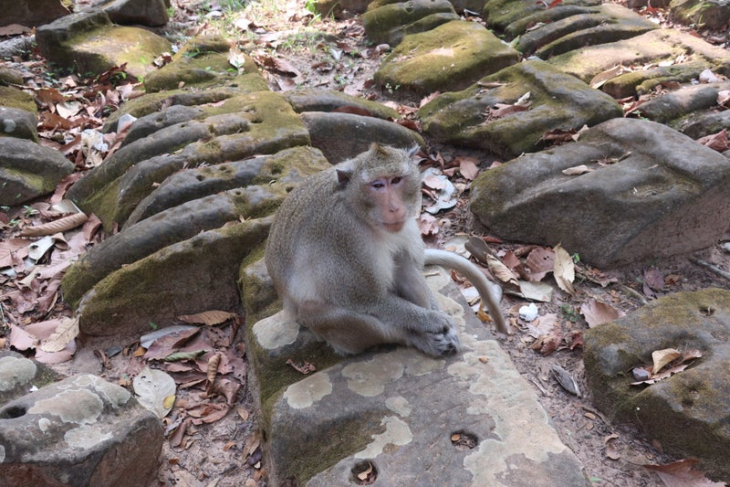 AngkorWat7