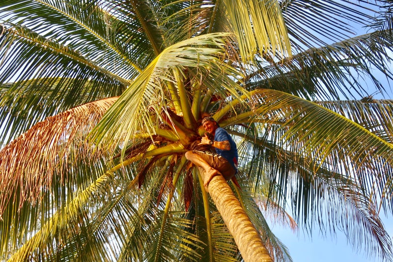 KohRong2-23