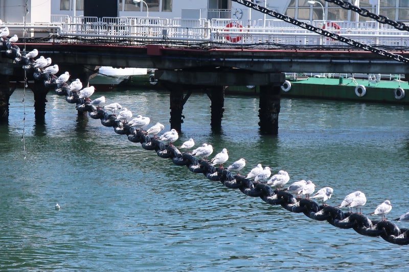 横浜8