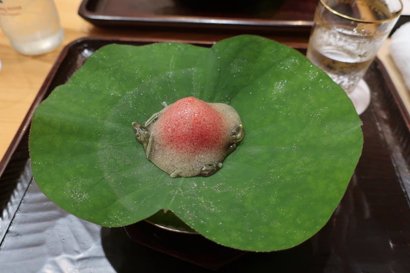 豪龍久保9