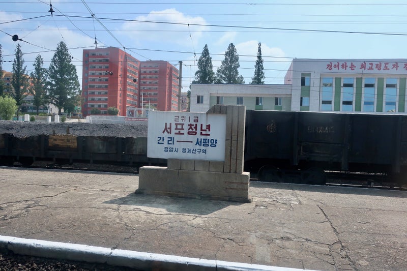 丹東8