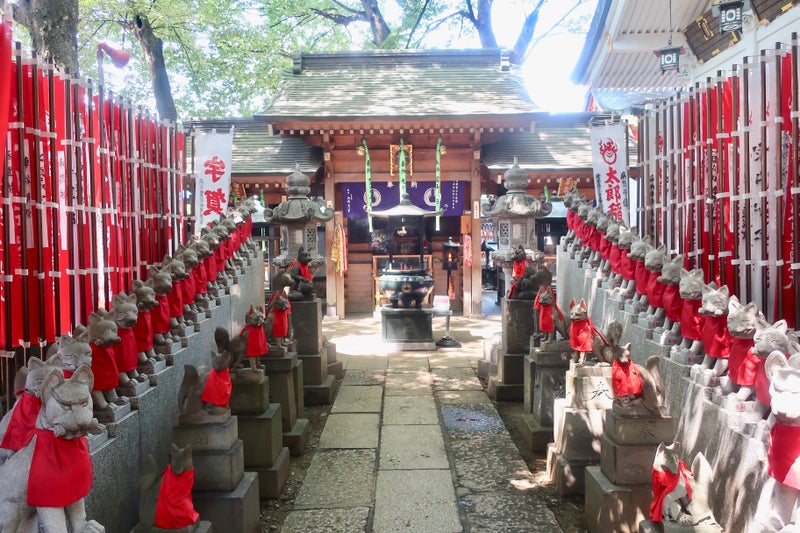 分配4