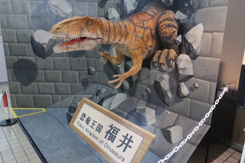 小松10