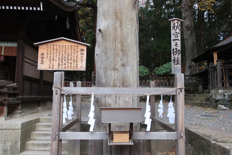 諏訪6