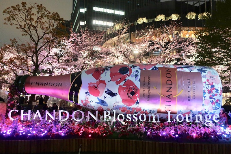 桜8