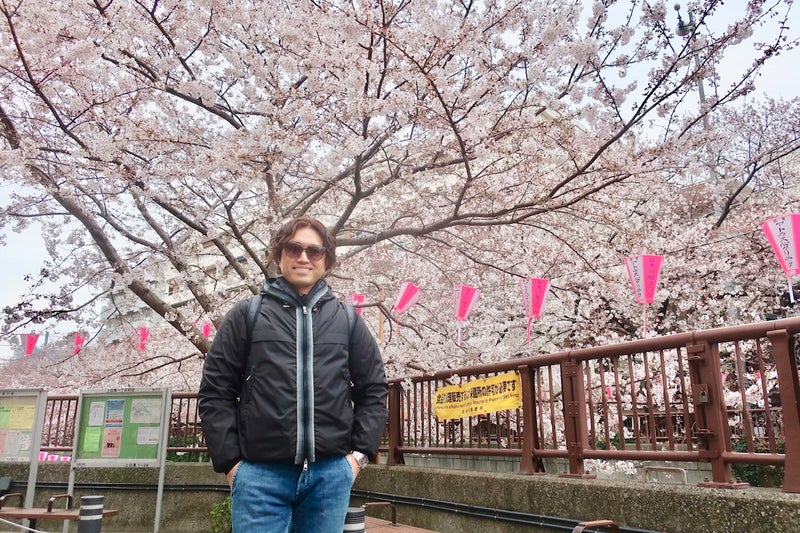 桜4