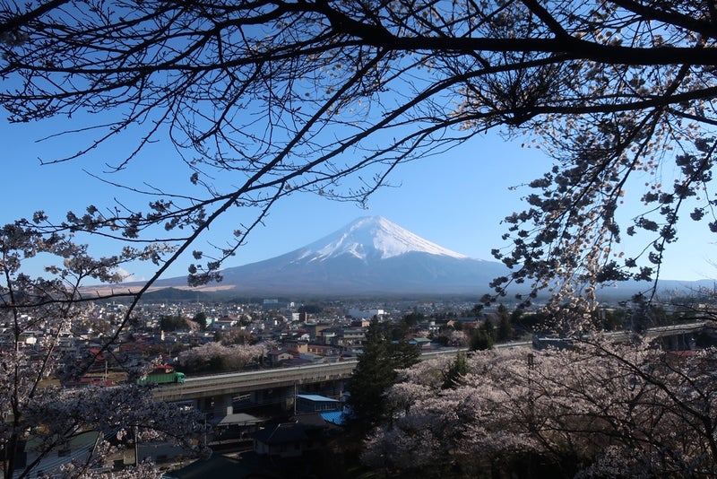 富士急8