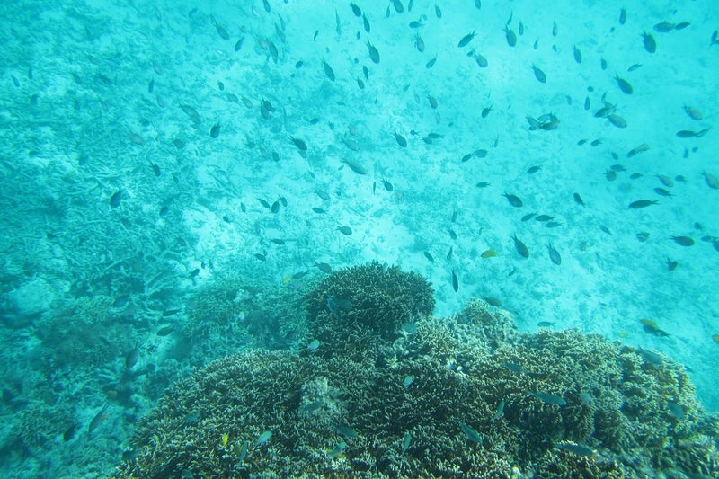 石垣2-14