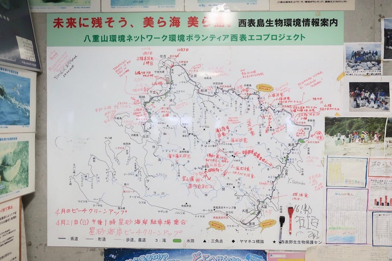 西表4