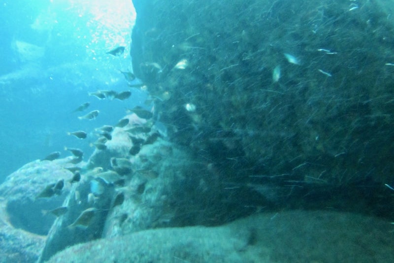 宮古島2-11