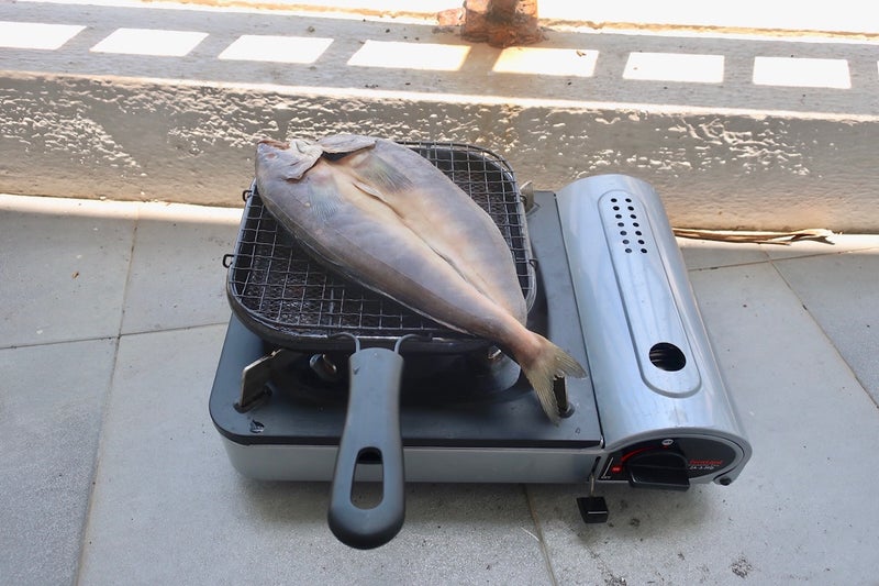 干物5